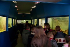classe-de-mer-Bredene-2010-342