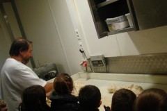 Octobre-2011-156