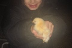 SAM_0376