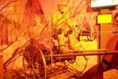 DSCN0305