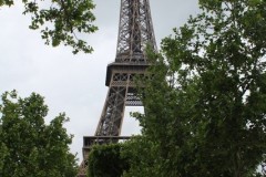IMG_2595