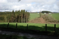DSC07043