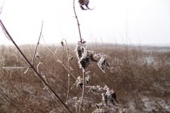 classe-verte-roisin-2009-389