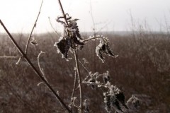 classe-verte-roisin-2009-390