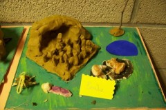 classe-verte-roisin-2009-490