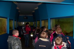 classe-de-mer-Bredene-2010-341