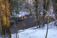 classe-verte-roisin-2009-num-1-074