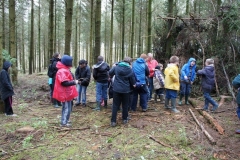DSC06537