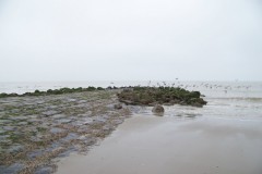 classe-de-mer-Bredene-2010-108