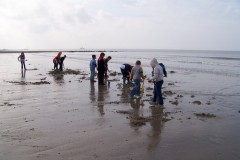 classe-de-mer-Bredene-2010-216