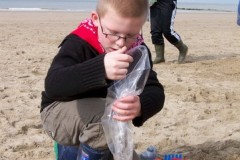 classe-de-mer-Bredene-2010-234