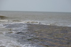 classe-de-mer-Bredene-2010-063