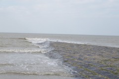 classe-de-mer-Bredene-2010-064