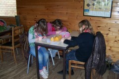 classe-de-mer-Bredene-2010-090