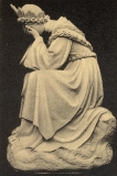 ndpleur