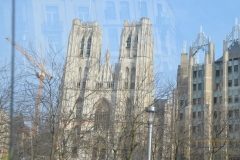 DSC_0056