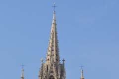 DSC_0084