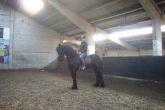 equitation_360