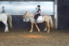 equitation_380