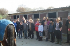 equitation_400