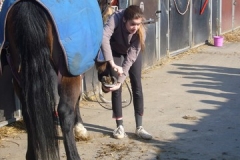 equitation_402
