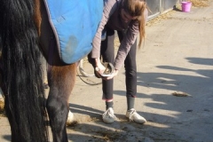 equitation_403
