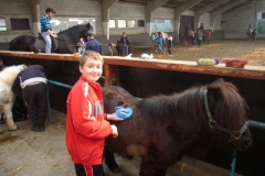 equitation_417