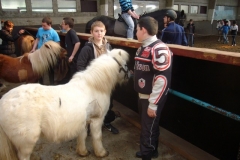 equitation_418