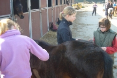 equitation_424