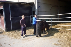 equitation_427