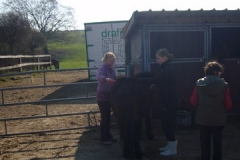 equitation_429