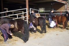 equitation_438