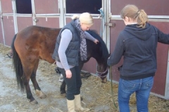 equitation_439