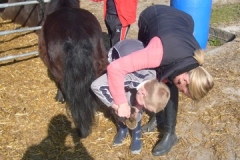 equitation_443