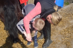 equitation_444