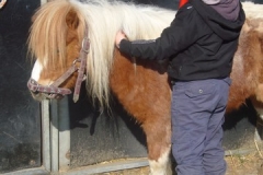 equitation_449