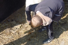 equitation_454