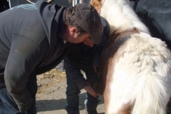 equitation_456