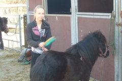 equitation_462