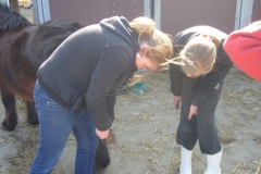 equitation_463