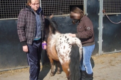 equitation_469