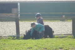 equitation_473
