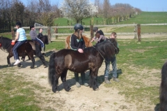 equitation_480