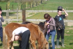 equitation_482