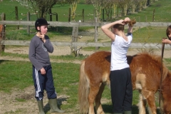 equitation_483