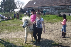 equitation_497