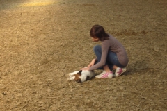 equitation_551