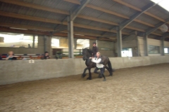 equitation_558