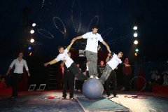 circus 050
