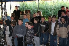 circus 094